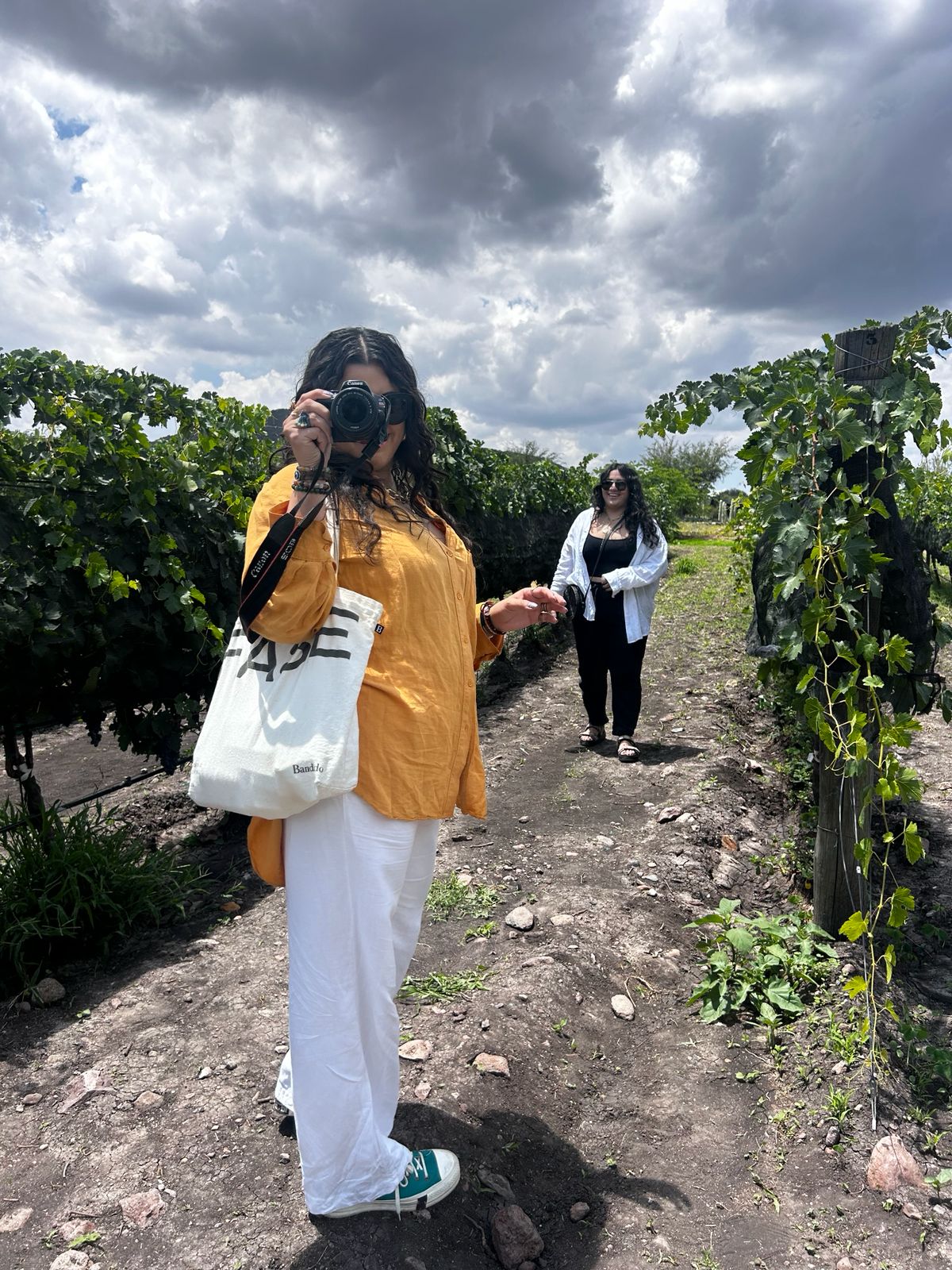 Experiencia de vino Viatorum