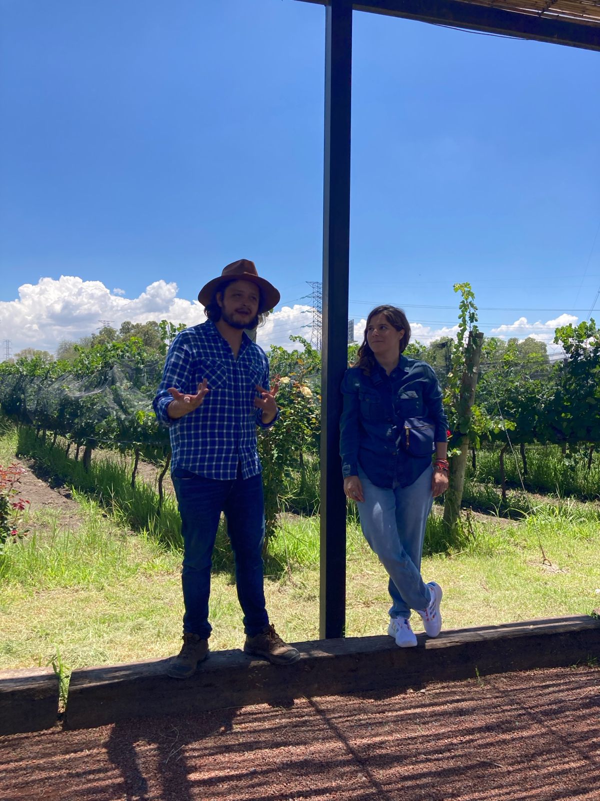 Experiencia de vino Viatorum