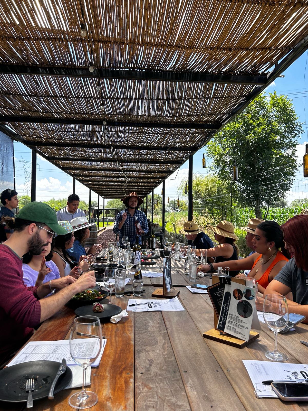 Experiencia de vino Viatorum