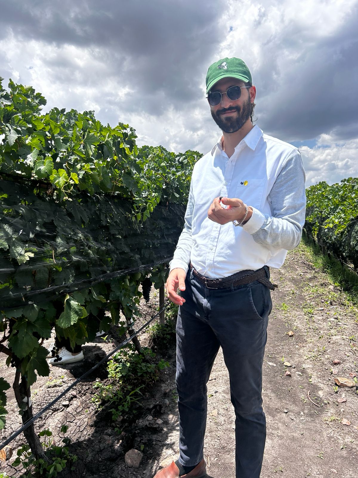 Experiencia de vino Viatorum